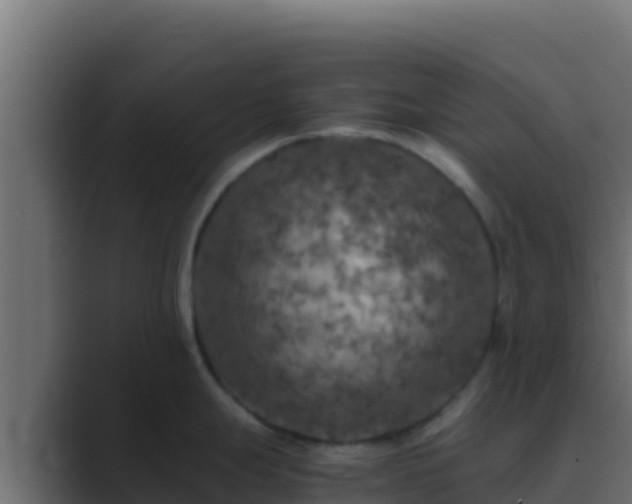 X0000089691247200706281410