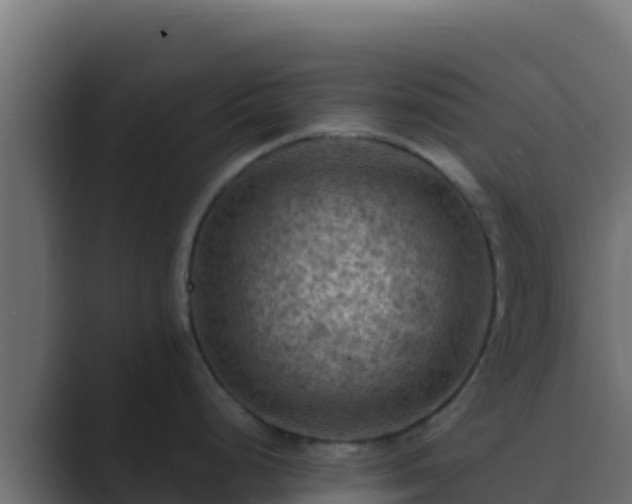 X0000089691248200706281410