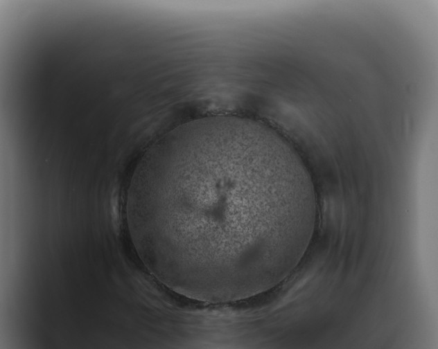 X0000089691250200706281409