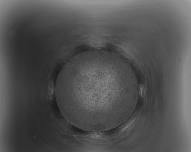 X0000089691251200706281409