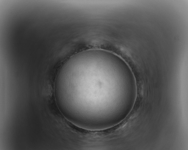 X0000089691253200706281409