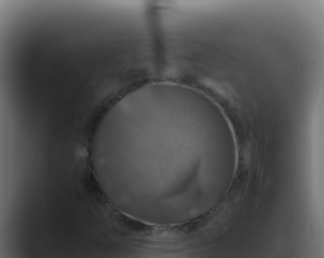 X0000089691254200706281409