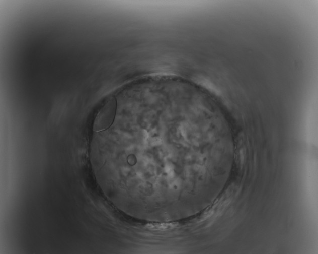 X0000089691255200706281409