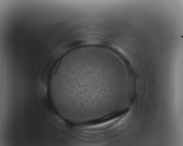 X0000089691257200706281409