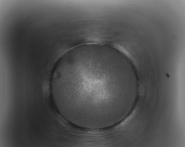 X0000089691259200706281409