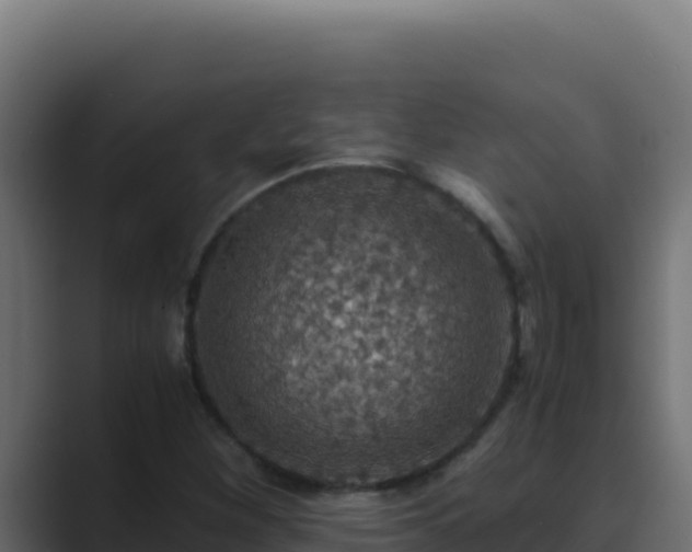 X0000089691260200706281409