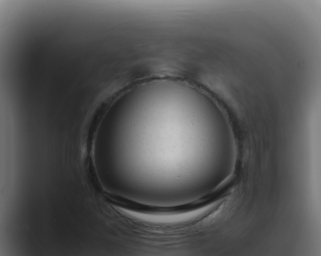 X0000089691261200706281409