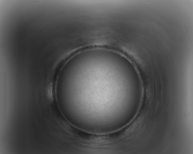 X0000089691262200706281409