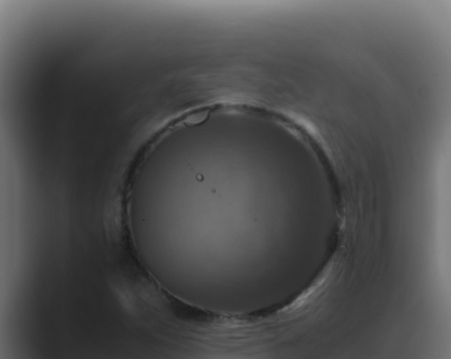 X0000089691263200706281409