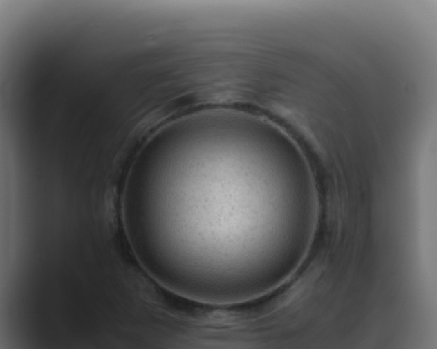 X0000089691265200706281409