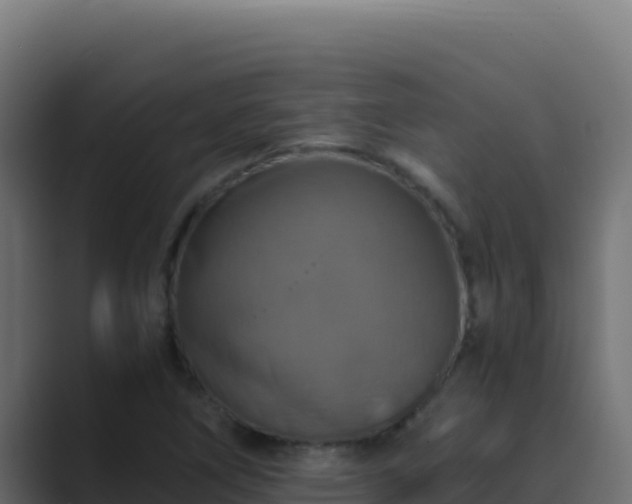 X0000089691266200706281409