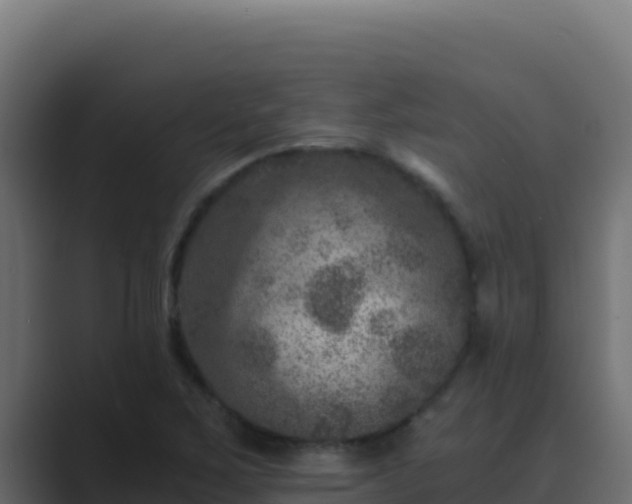 X0000089691267200706281409