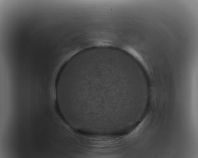 X0000089691269200706281409