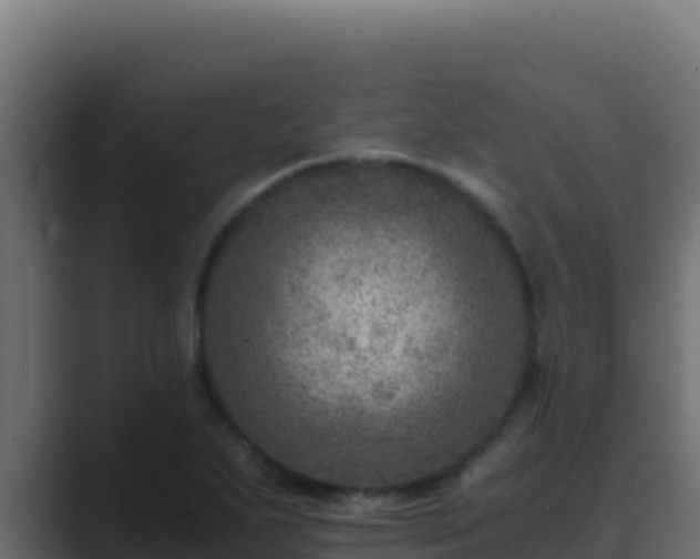 X0000089691271200706281409