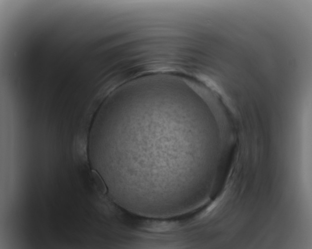 X0000089691273200706281409