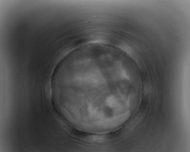 X0000089691274200706281409