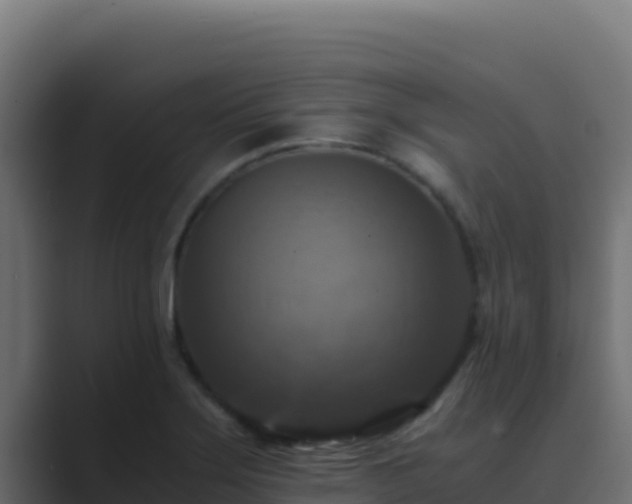 X0000089691275200706281409