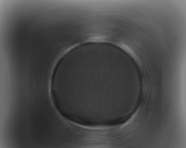 X0000089691277200706281409