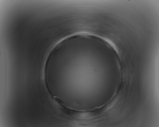 X0000089691279200706281409