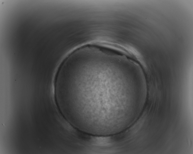 X0000089691280200706281409