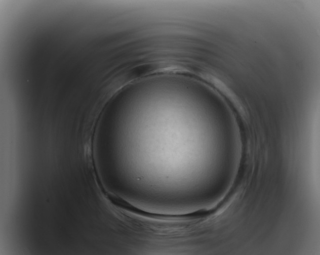 X0000089691281200706281409