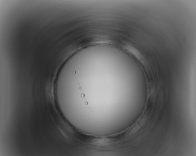 X0000089691282200706281409