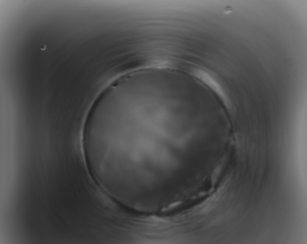 X0000089691283200706281409