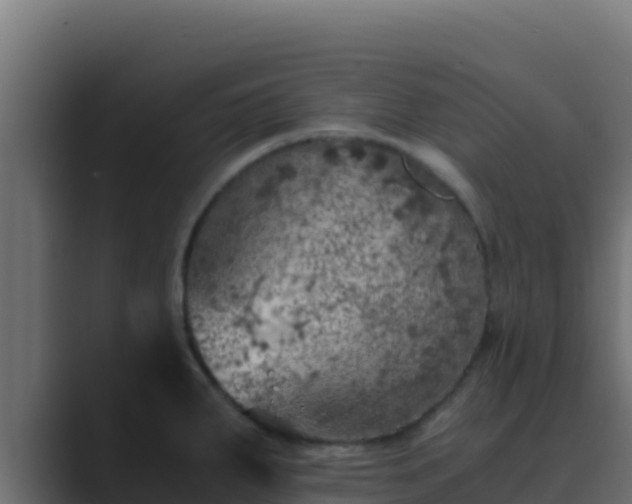 X0000089691287200706281409