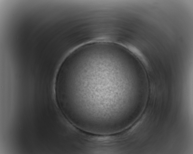 X0000089691288200706281409