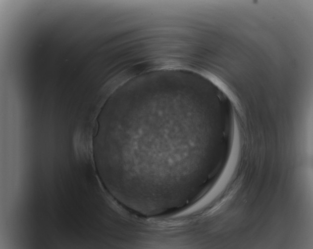 X0000089691289200706281409