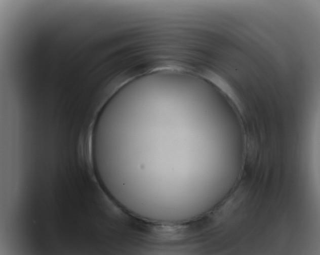 X0000089691290200706281409