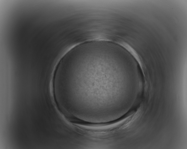 X0000089691293200706281409