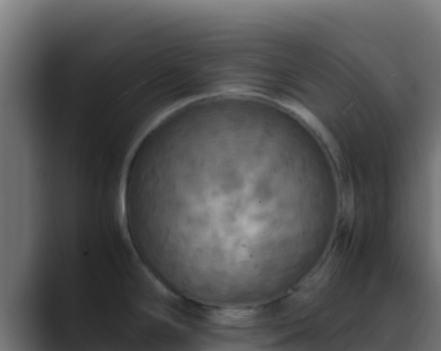 X0000089691294200706281409