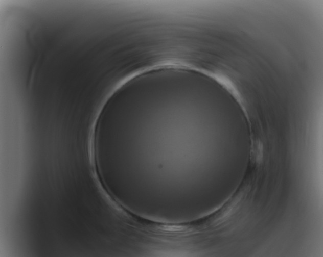 X0000089691295200706281409