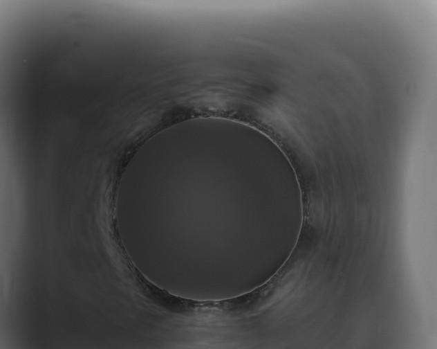 X0000089691297200706281408