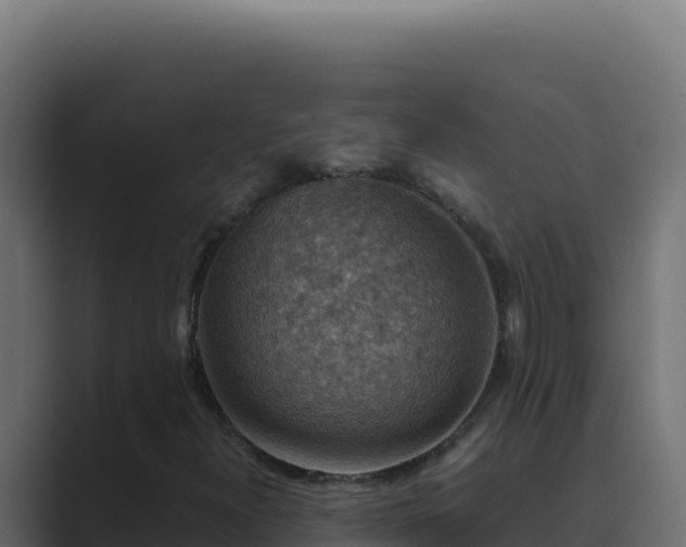 X0000089691300200706281408