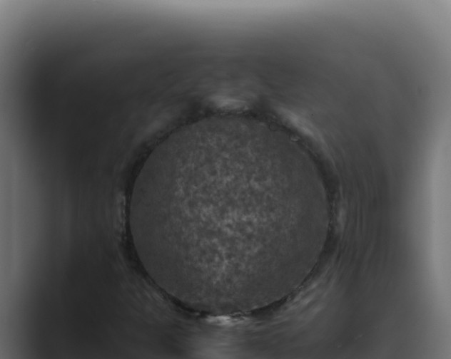 X0000089691301200706281408