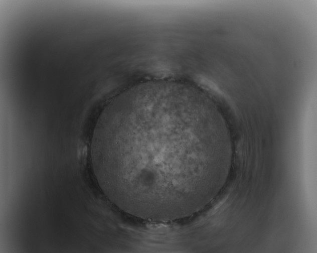 X0000089691302200706281408