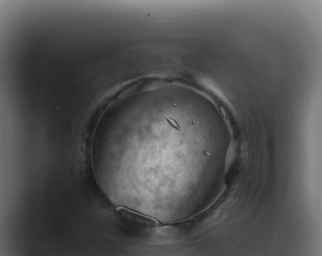 X0000089691304200706281408