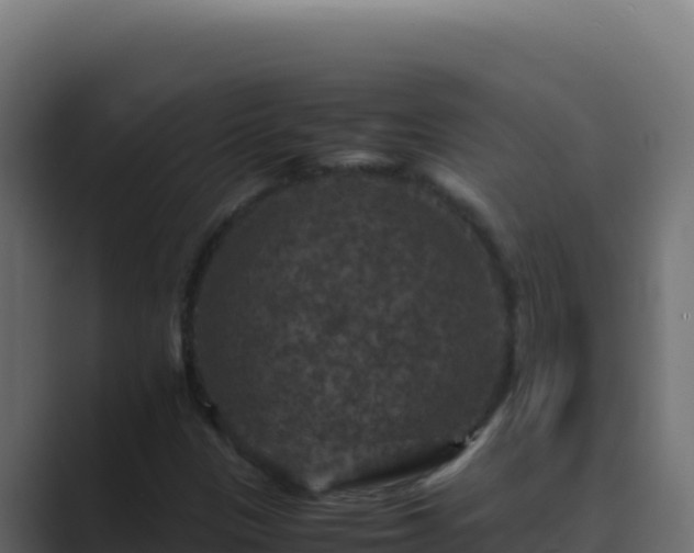 X0000089691305200706281408