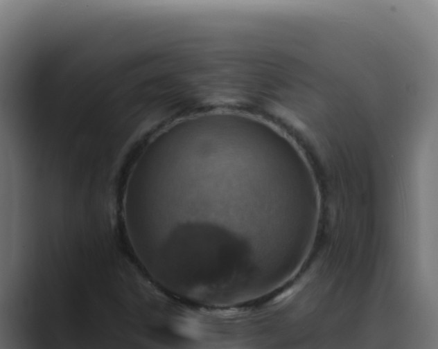 X0000089691306200706281408