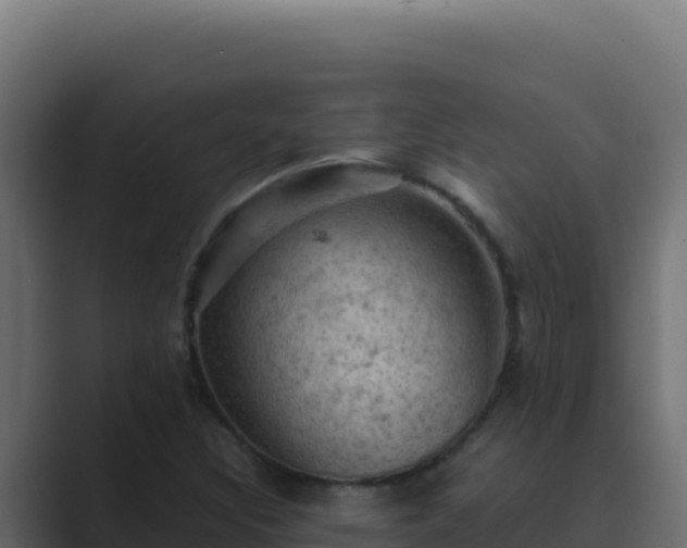 X0000089691308200706281408