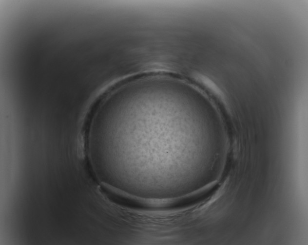 X0000089691310200706281408