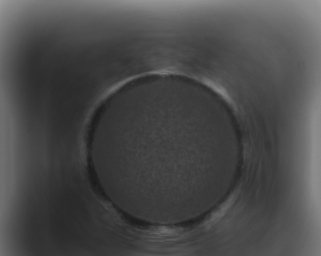 X0000089691311200706281408