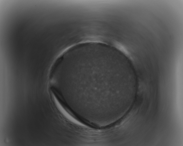 X0000089691312200706281408