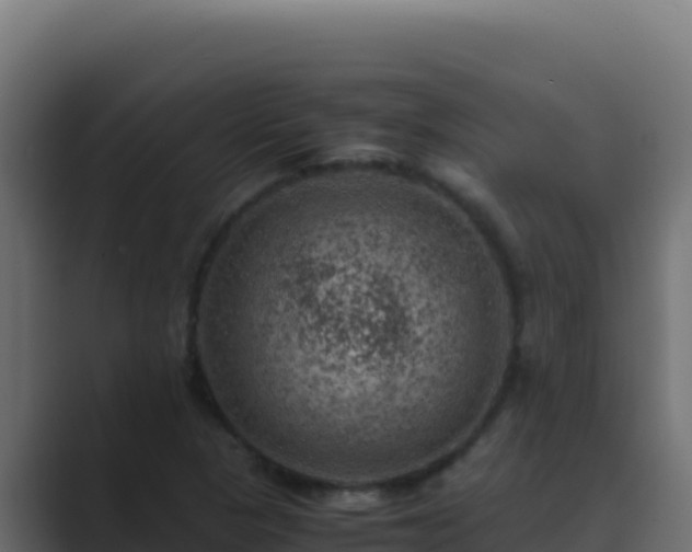 X0000089691313200706281408