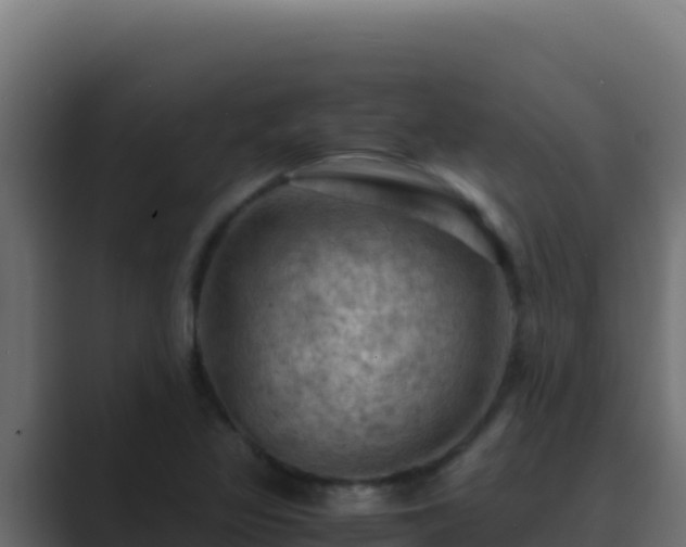 X0000089691317200706281408