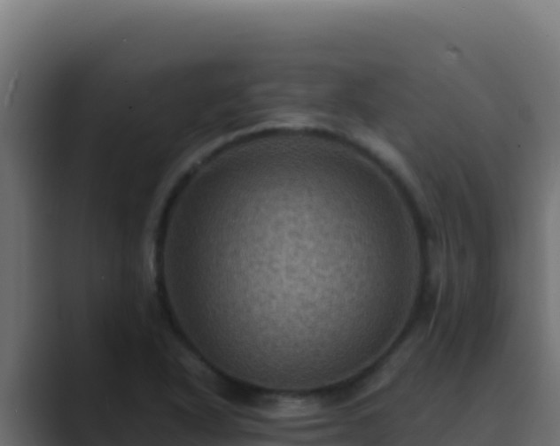 X0000089691318200706281409