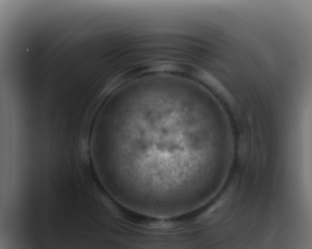 X0000089691321200706281409