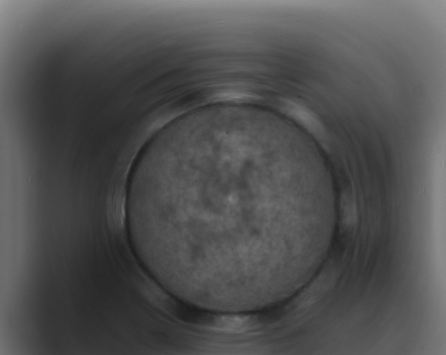 X0000089691322200706281409